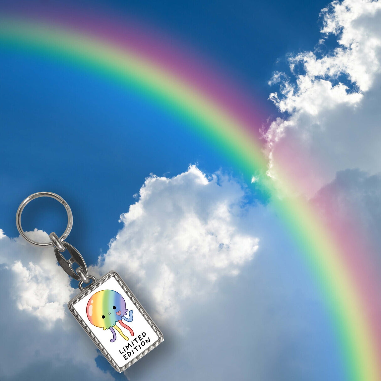 Jelly & Friends Regenbogen-Qualle Schlüsselanhänger mit Spruch Limited Edition