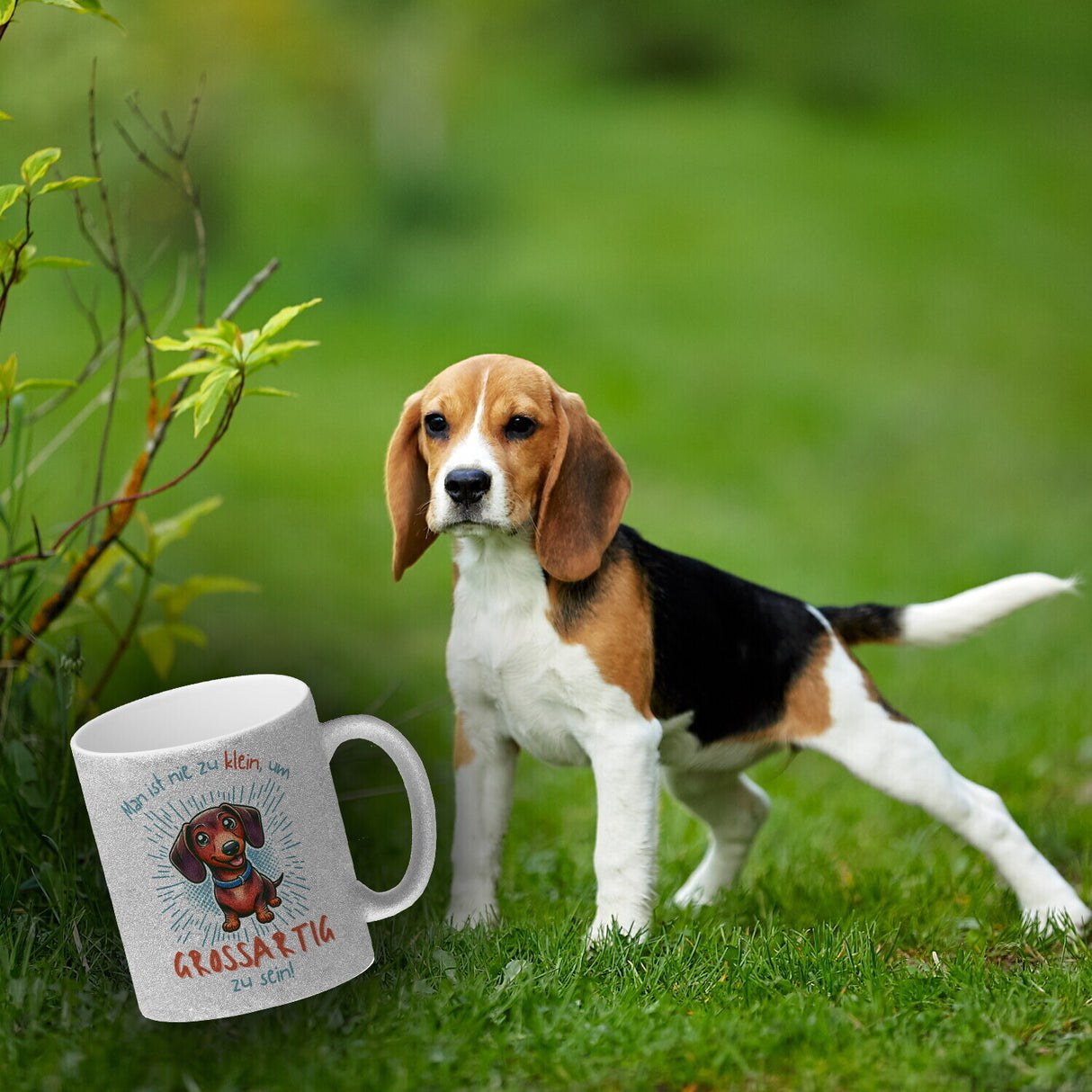 Dackel Kaffeebecher mit Spruch Nie zu klein für Großartigkeit
