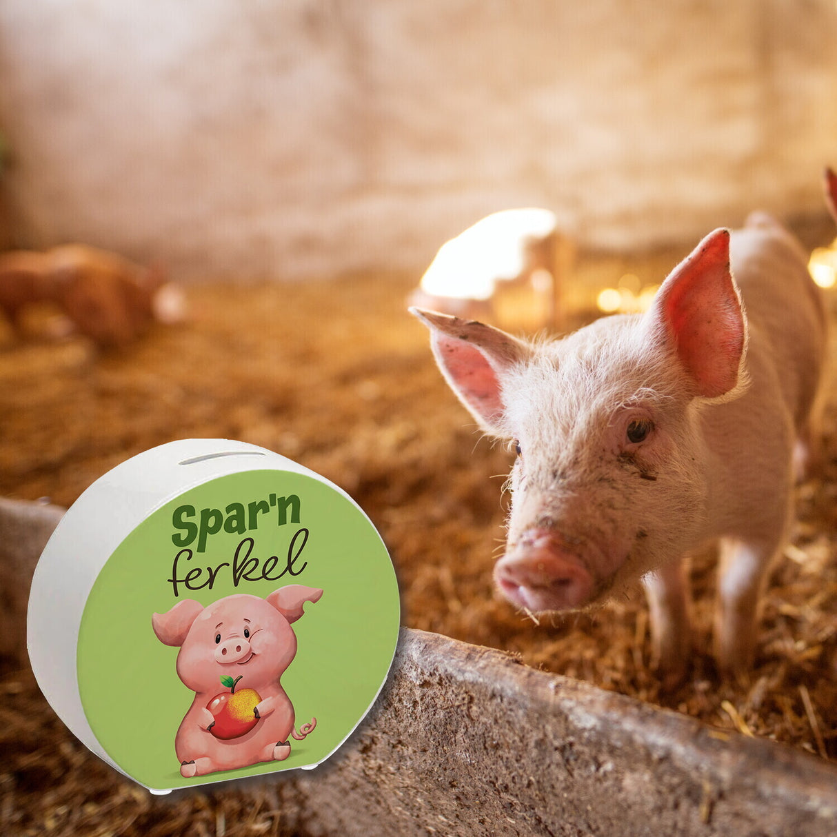Schwein Spardose mit Spruch Sparnferkel