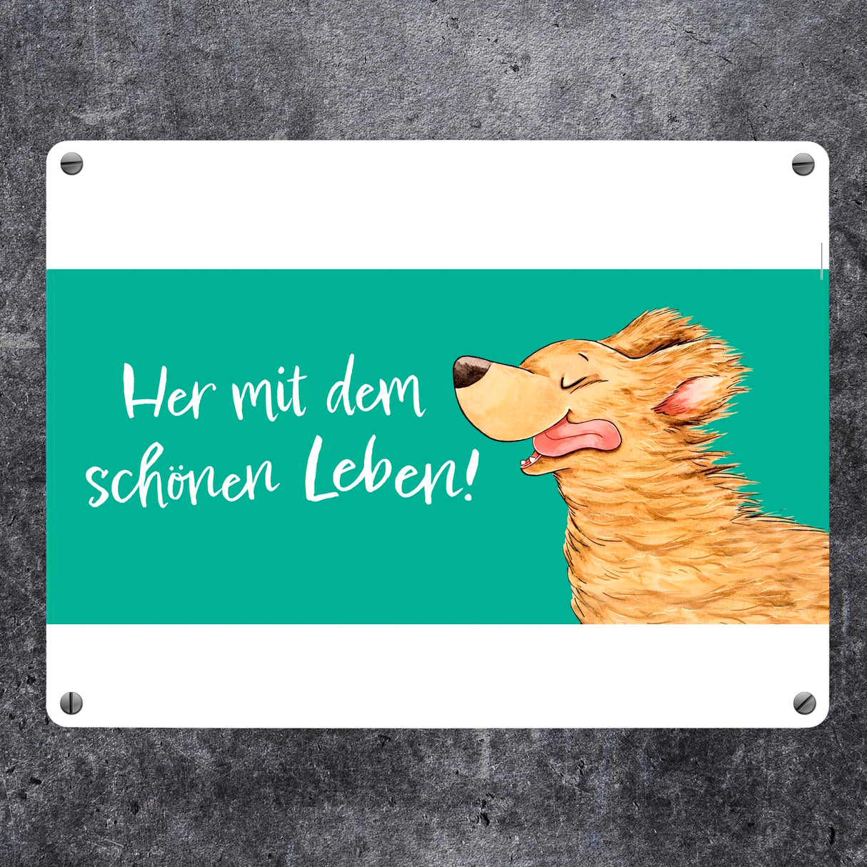 Hund Metallschild in 15x20 cm mit Spruch Her mit dem schönen Leben