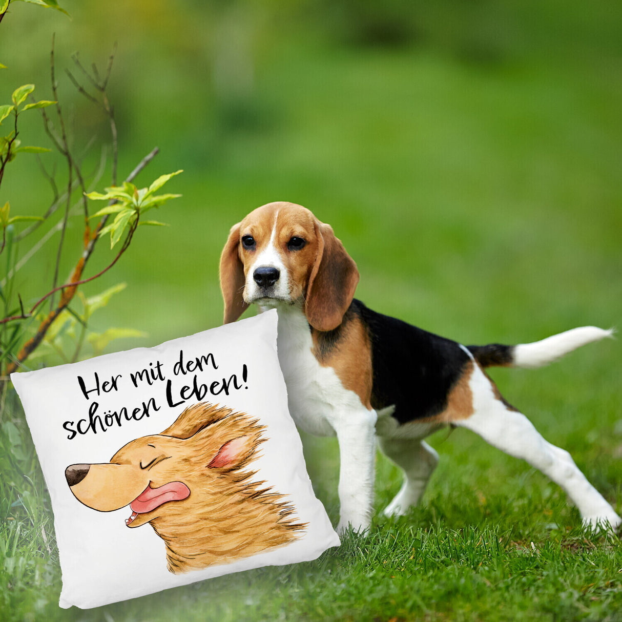 Hund Kissen mit Spruch Her mit dem schönen Leben