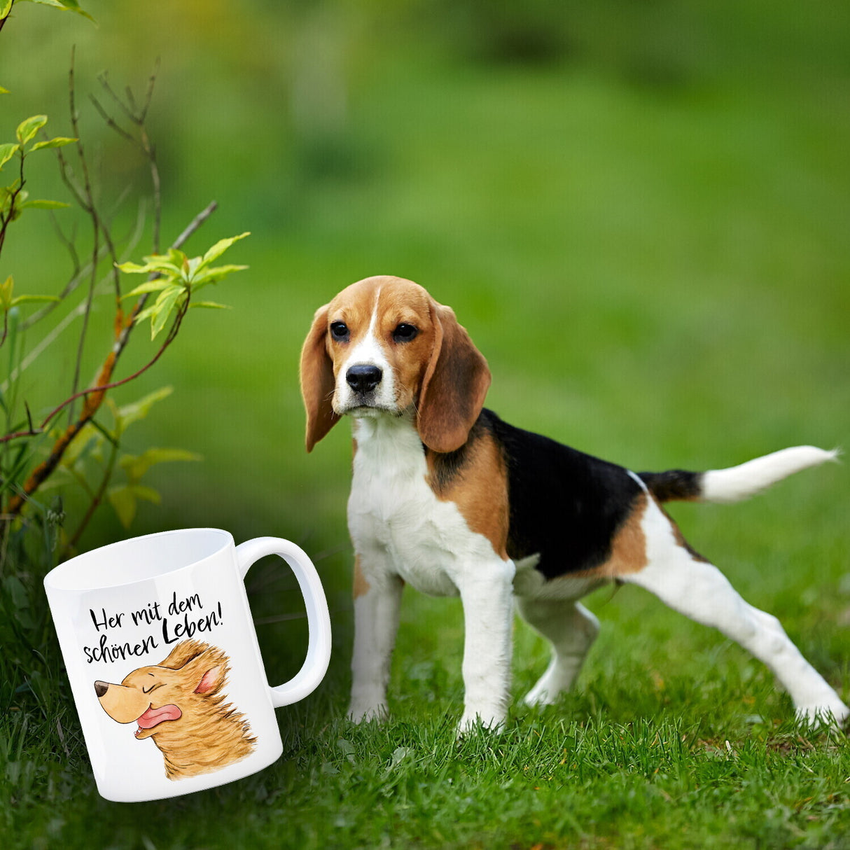Hund Kaffeebecher mit Spruch Her mit dem schönen Leben