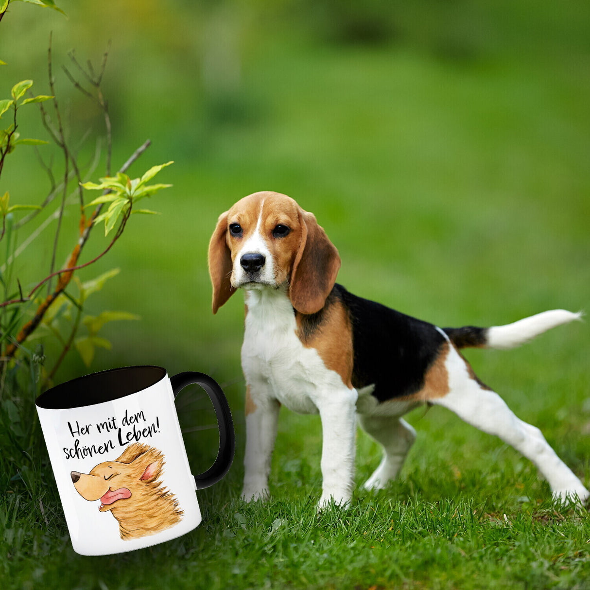 Hund Kaffeebecher mit Spruch Her mit dem schönen Leben