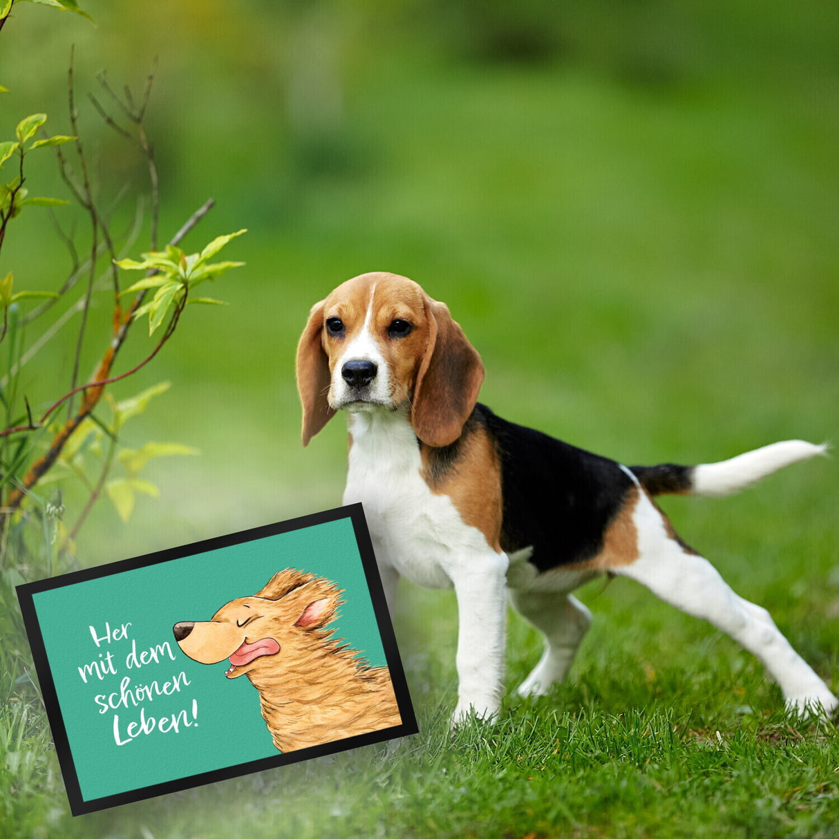 Hund Fußmatte in 35x50 cm mit Spruch Her mit dem schönen Leben
