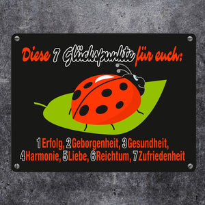 Marienkäfer Metallschild in 15x20 cm mit Spruch Sieben Glückspunkte