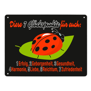 Marienkäfer Metallschild in 15x20 cm mit Spruch Sieben Glückspunkte