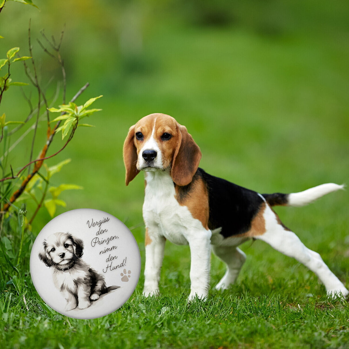 süßer Hund mit Halsband Magnet rund mit Spruch Vergiss den Prinzen nimm den Hund