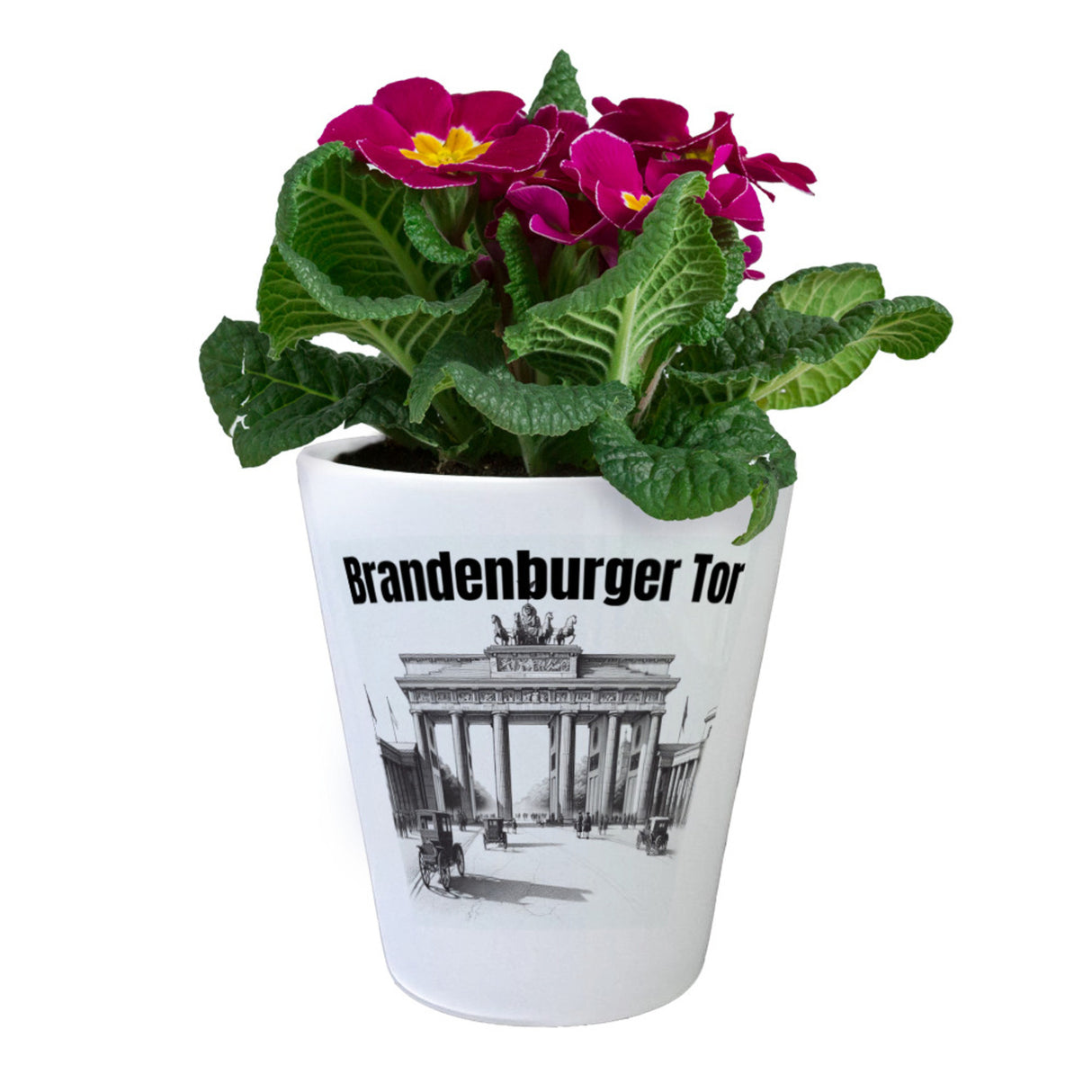 Berlin Souvenir Brandenburger Tor Blumentopf