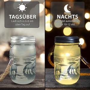 Landschaft mit Pferden Solarlicht