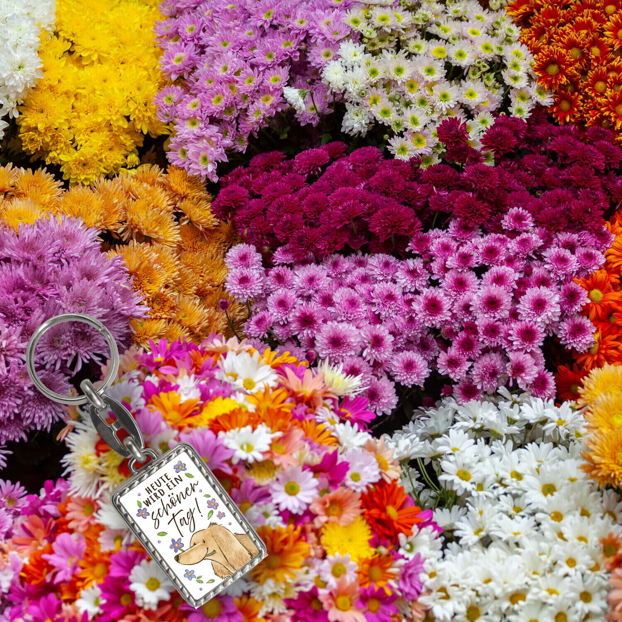Dackel mit Blume Schlüsselanhänger mit Spruch Heute wird ein schöner Tag