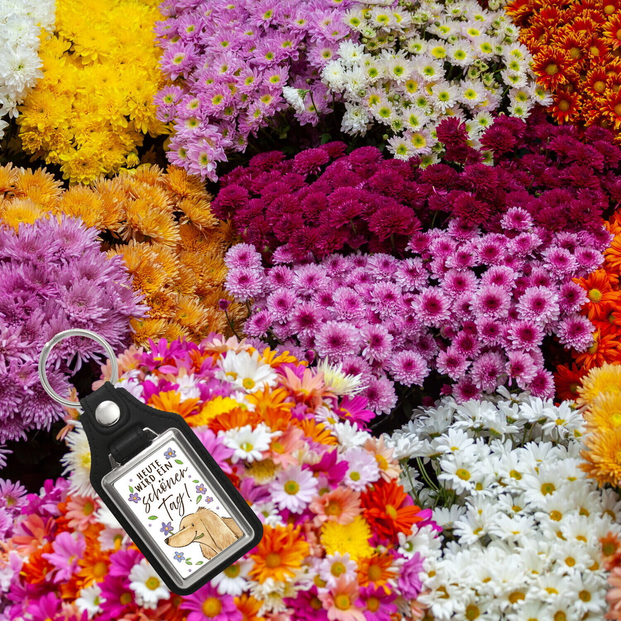 Dackel mit Blume Schlüsselanhänger mit Spruch Heute wird ein schöner Tag