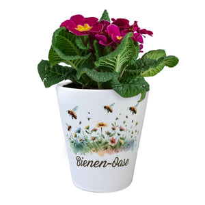 Bienenwiese Blumentopf mit Spruch Bienen-Oase