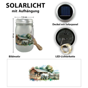 Pferdestall mit zwei Pferden Solarlicht