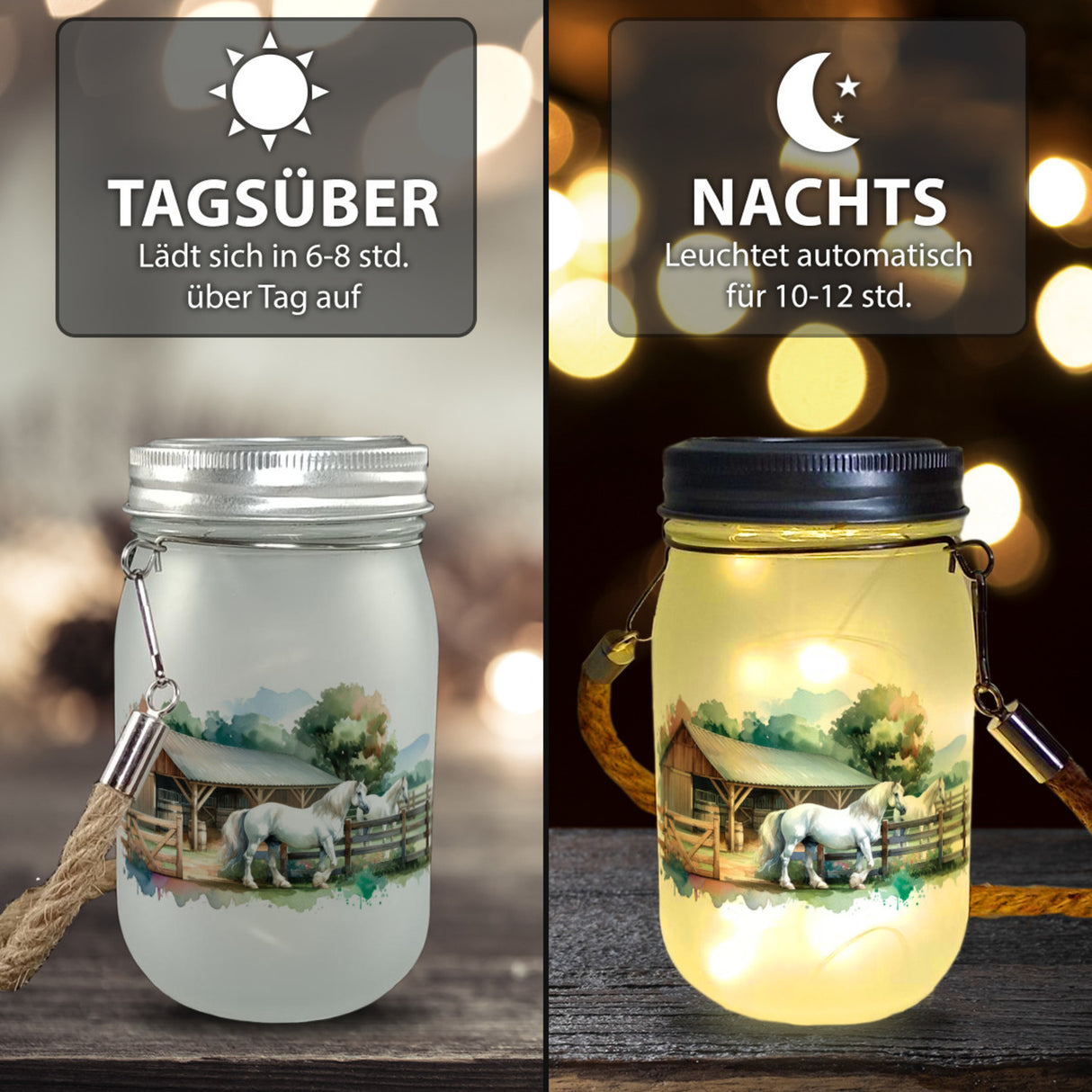 Pferdestall mit zwei Pferden Solarlicht
