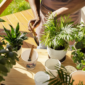 Träumendes Einhorn Blumentopf