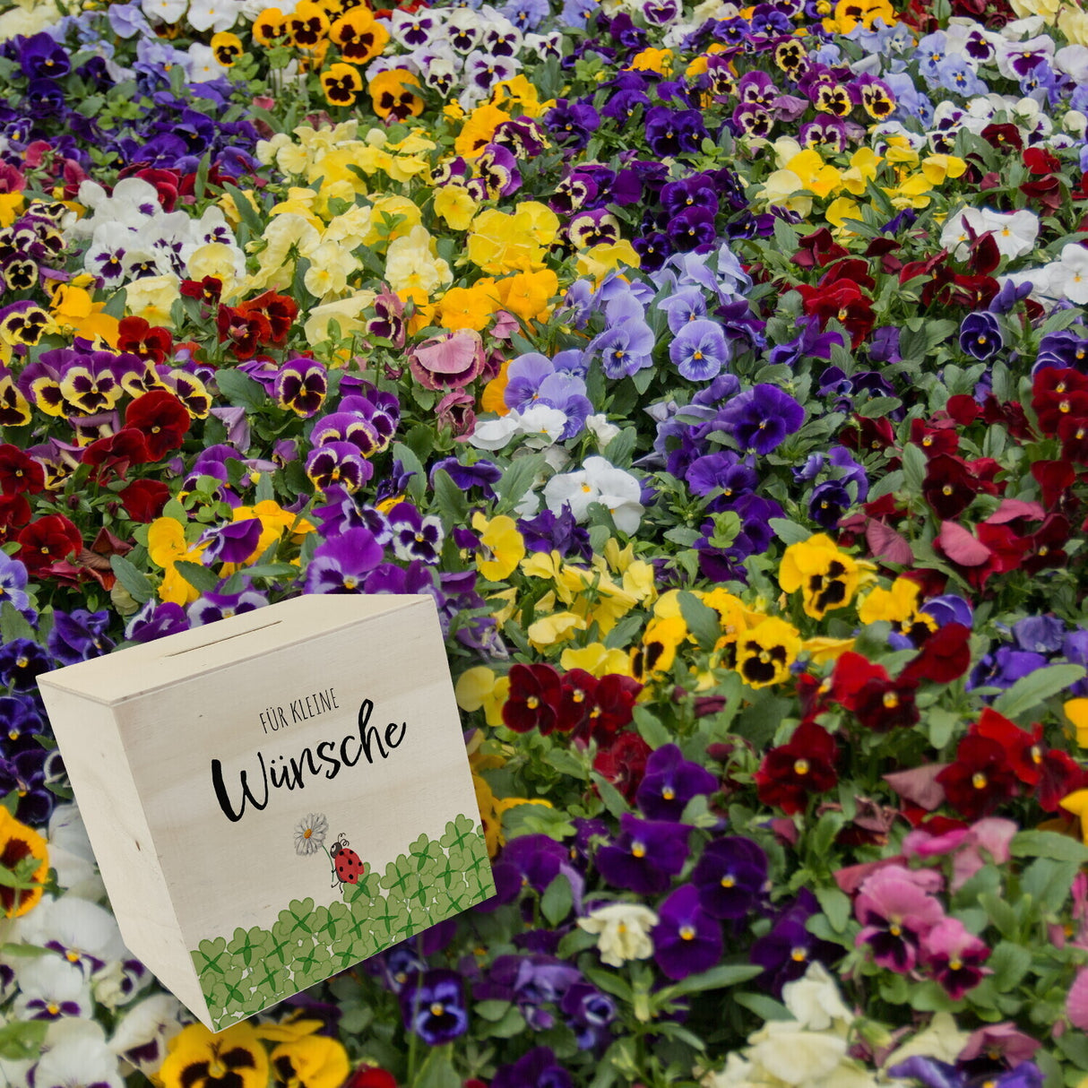 Marienkäfer im Kleefeld Spardose mit Spruch Für kleine Wünsche