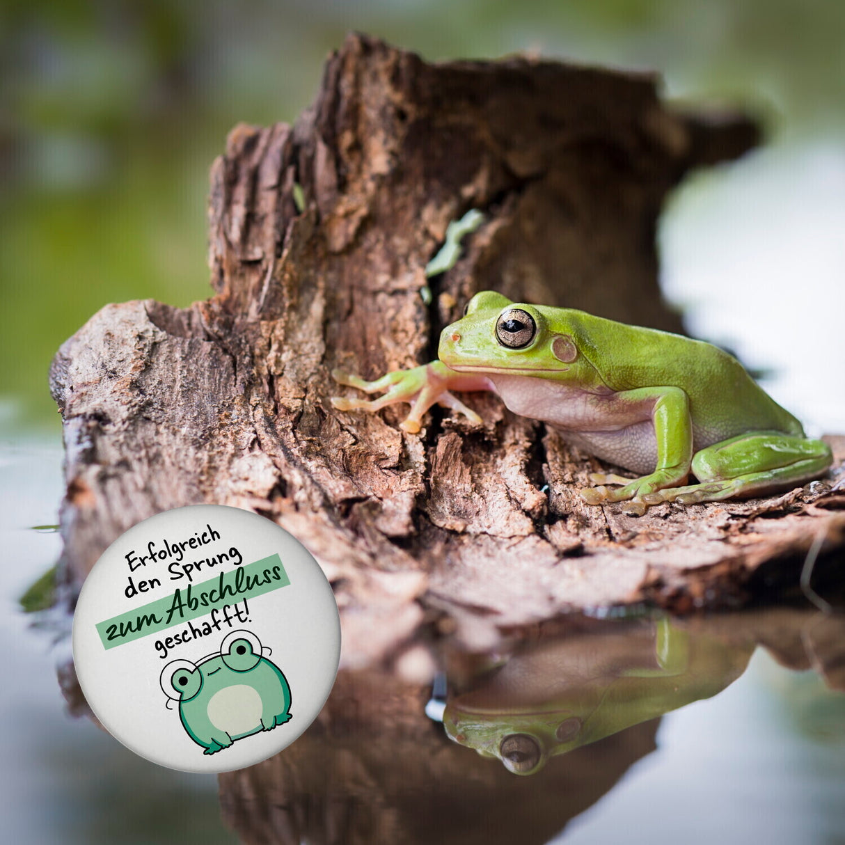 Frosch mit Brille Magnet rund mit Spruch Sprung zum Abschluss geschafft