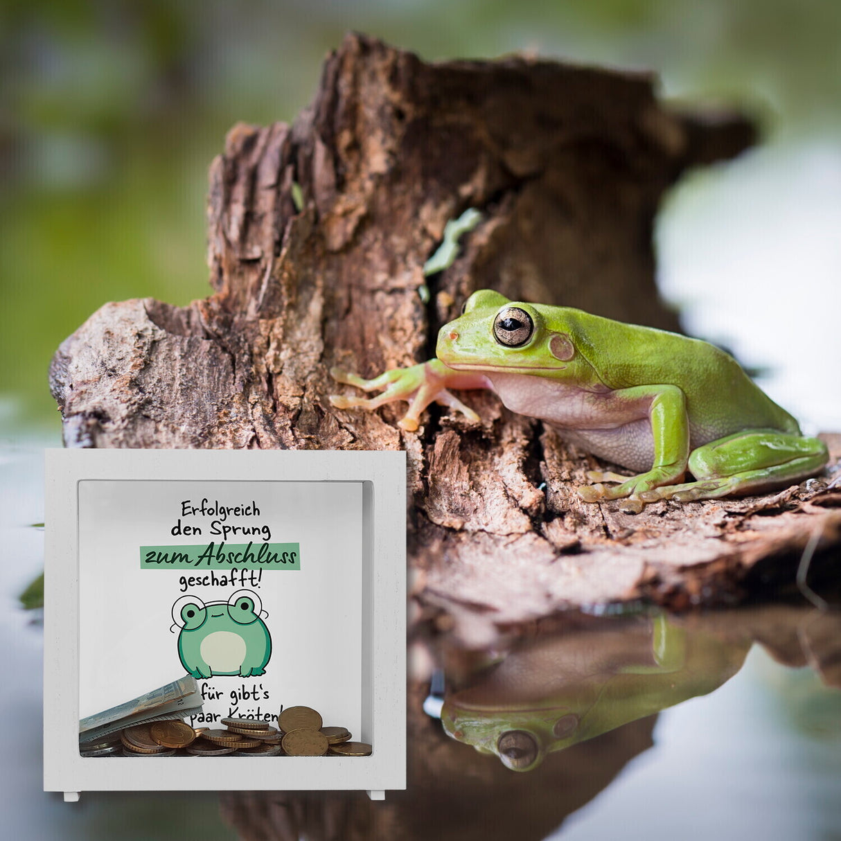 Frosch mit Brille Spardose mit Spruch Abschluss geschafft - dafür Kröten