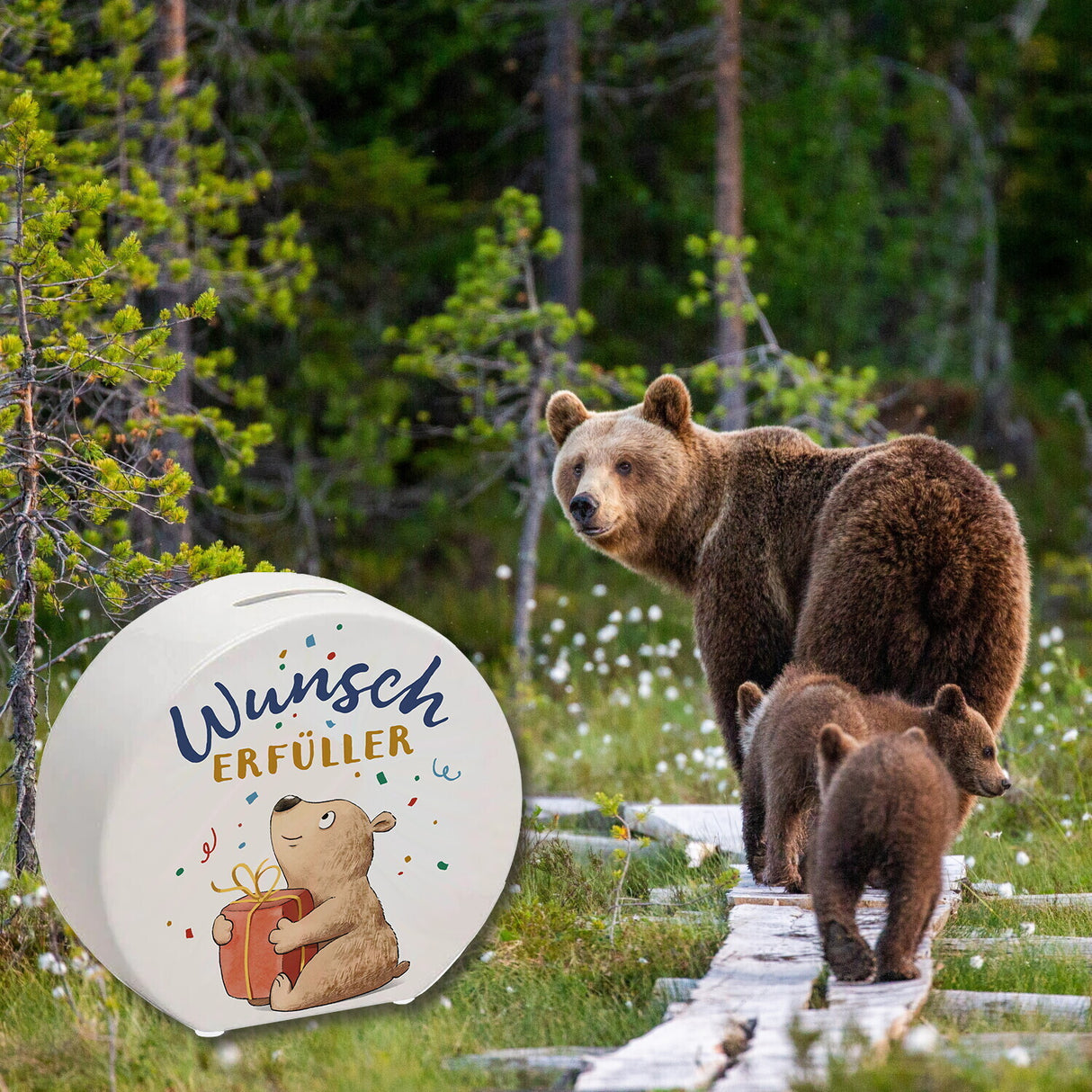 Bär mit Geschenk Spardose mit Spruch Wunscherfüller