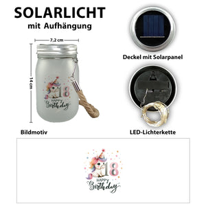 18. Geburtstag mit niedlichem Pferd Solarlicht mit Spruch Happy Birthday 18