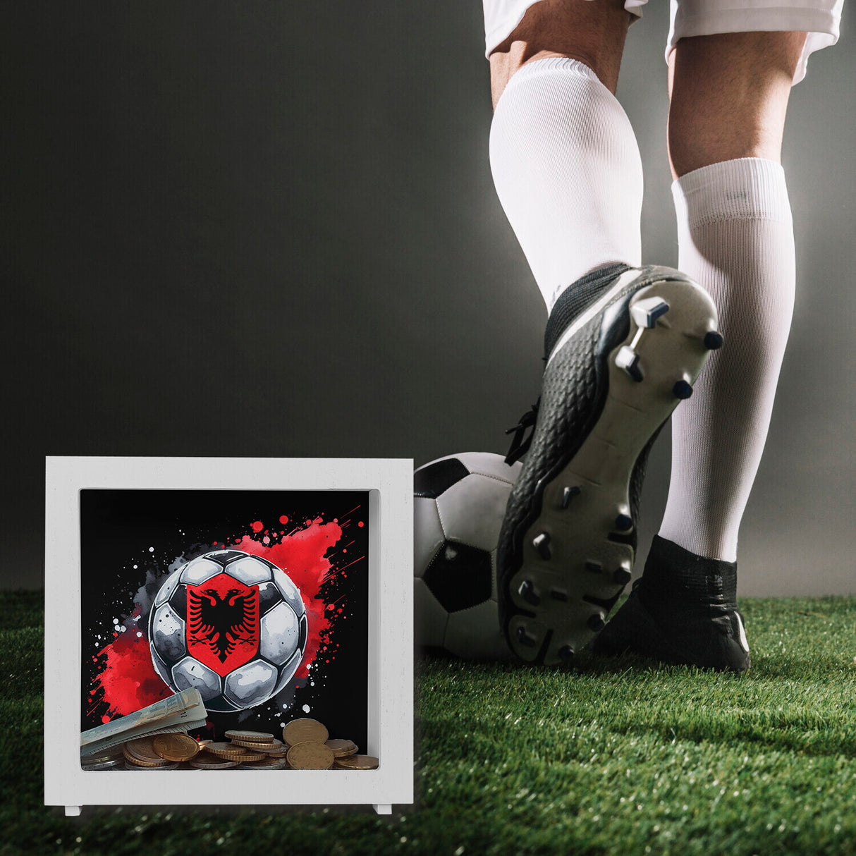 Fußball Albanien Spardose