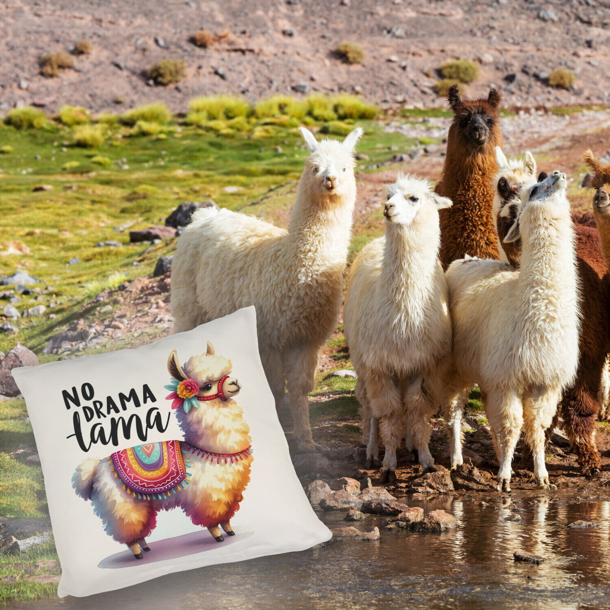 Alpaka mit bunter Satteldecke Kissen mit Spruch No Drama Lama