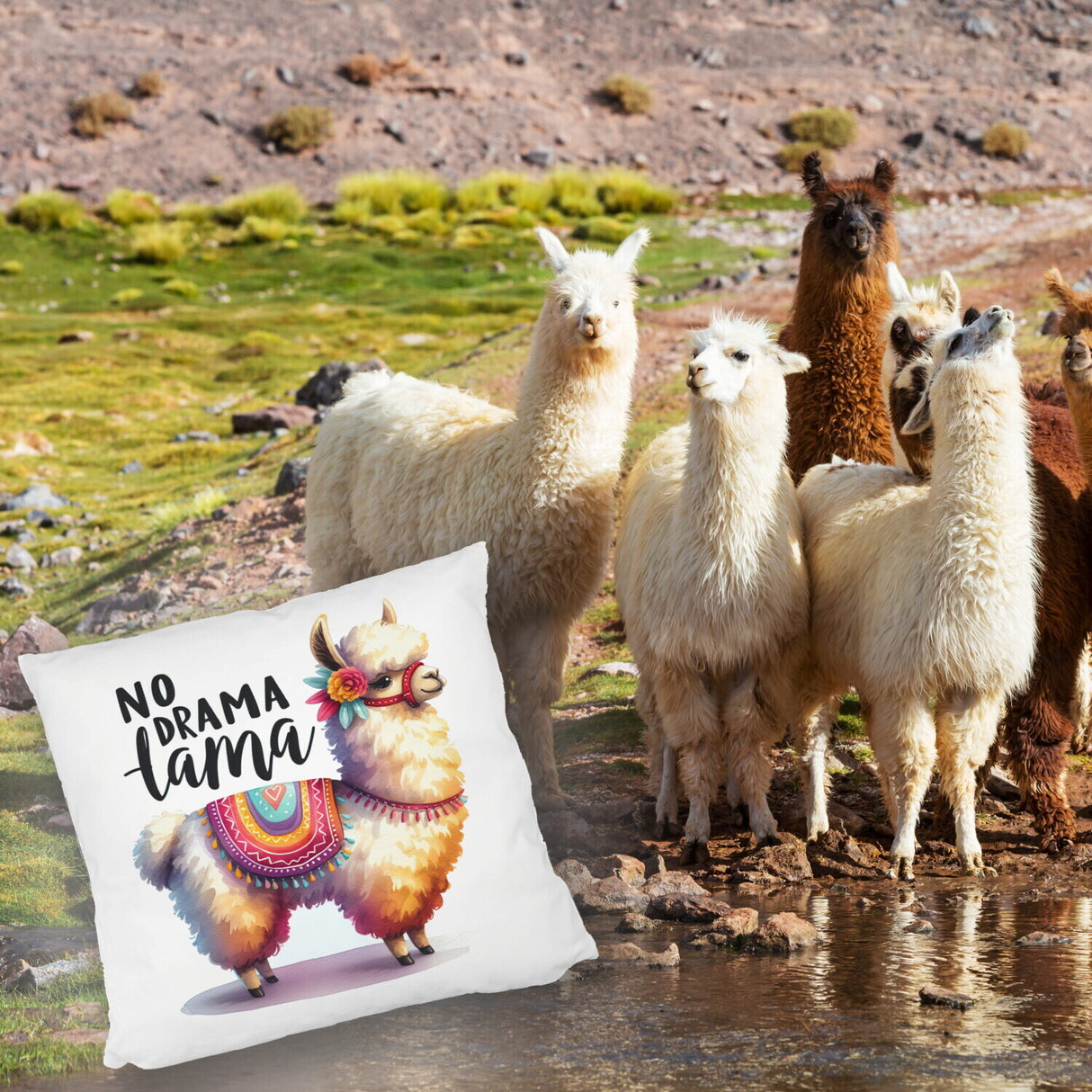 Alpaka mit bunter Satteldecke Kissen mit Spruch No Drama Lama