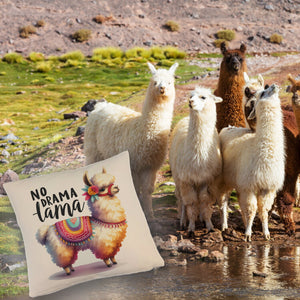Alpaka mit bunter Satteldecke Kissen mit Spruch No Drama Lama