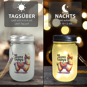 Alpaka mit bunter Satteldecke Solarlicht mit Spruch No Drama Lama