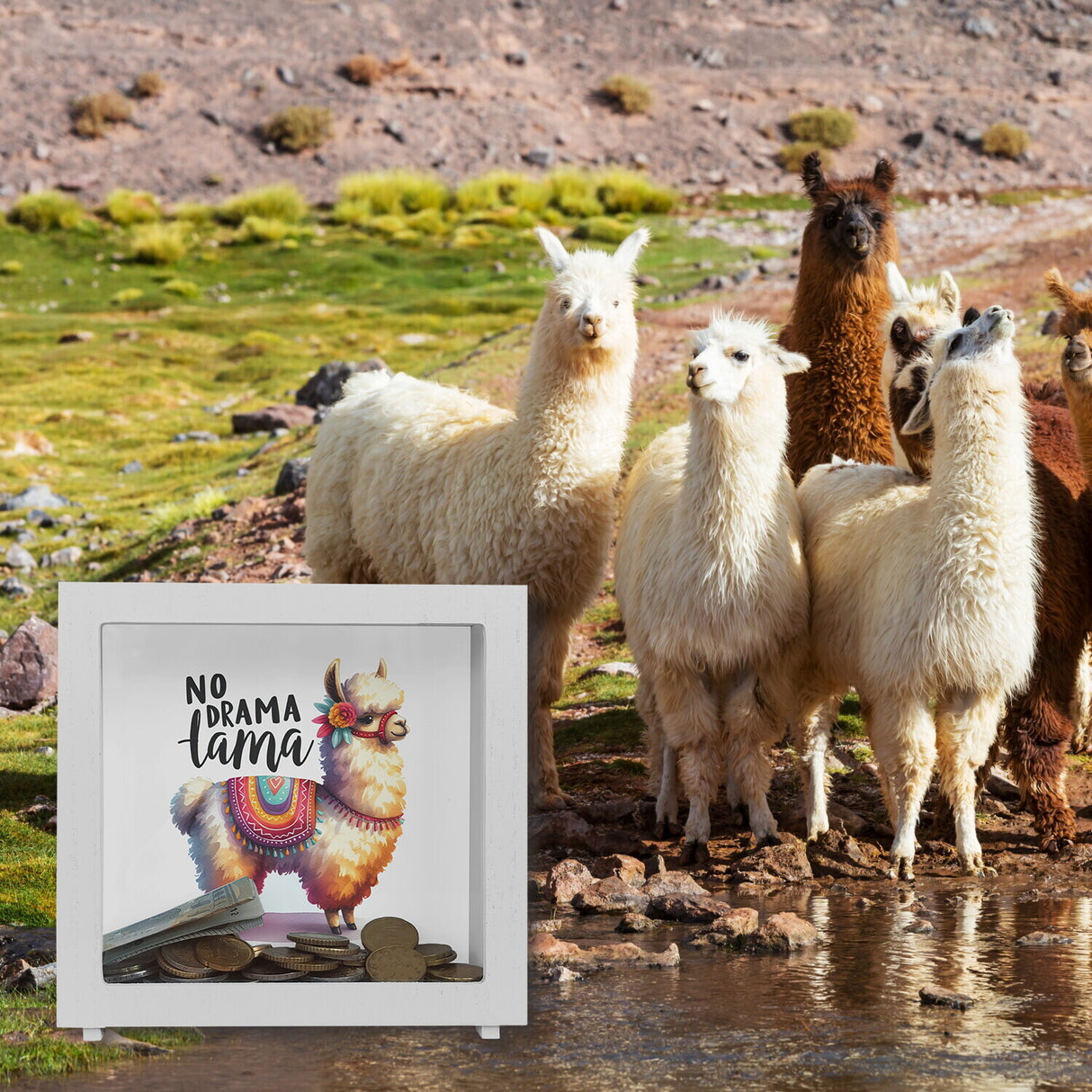 Alpaka mit bunter Satteldecke Spardose mit Spruch No Drama Lama