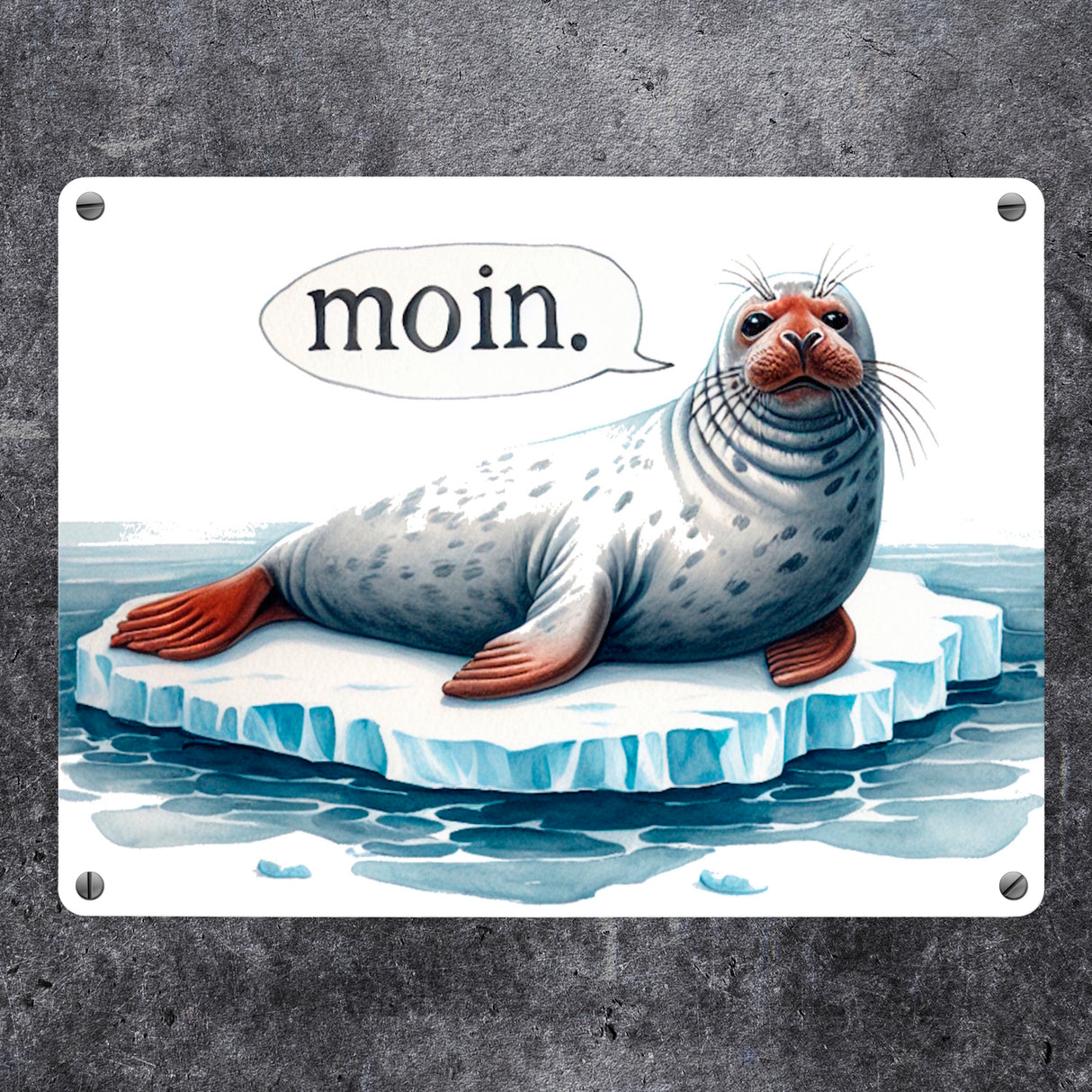 Robbe auf Eisscholle Metallschild in 15x20 cm mit Spruch Moin