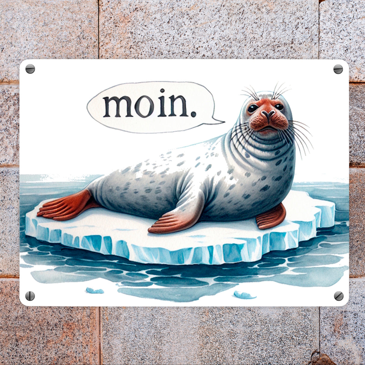 Robbe auf Eisscholle Metallschild in 15x20 cm mit Spruch Moin