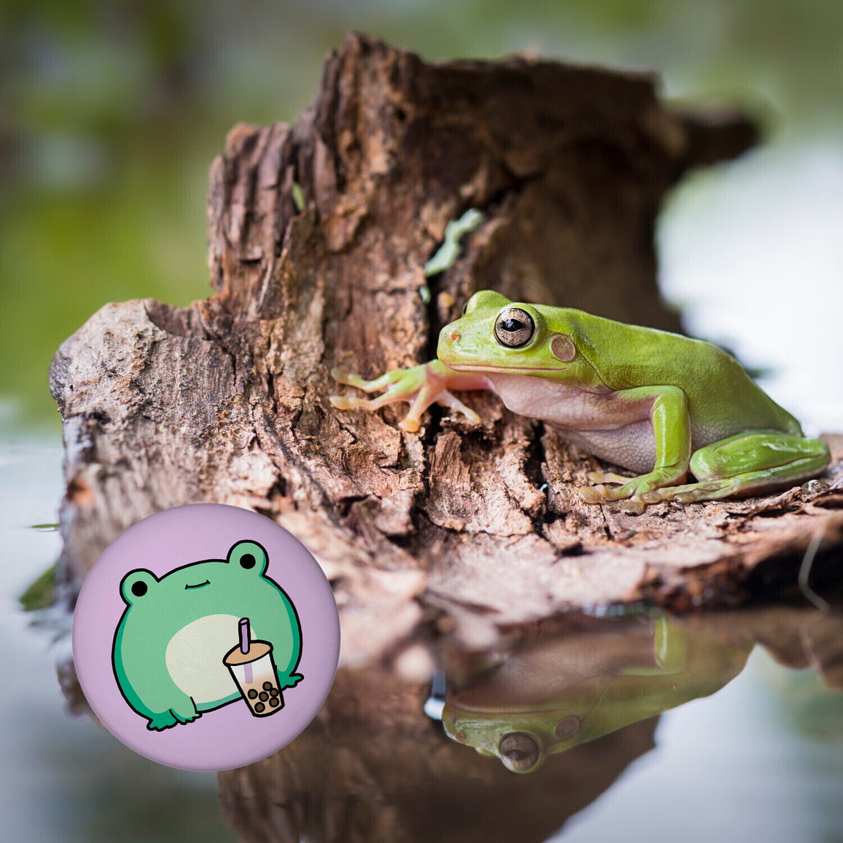 Frosch mit Bubble Tea Magnet rund