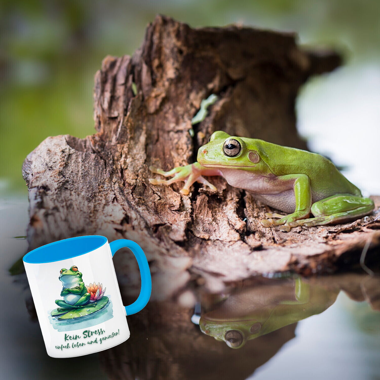Frosch auf Seerose Kaffeebecher mit Spruch Kein Stress einfach leben und genießen