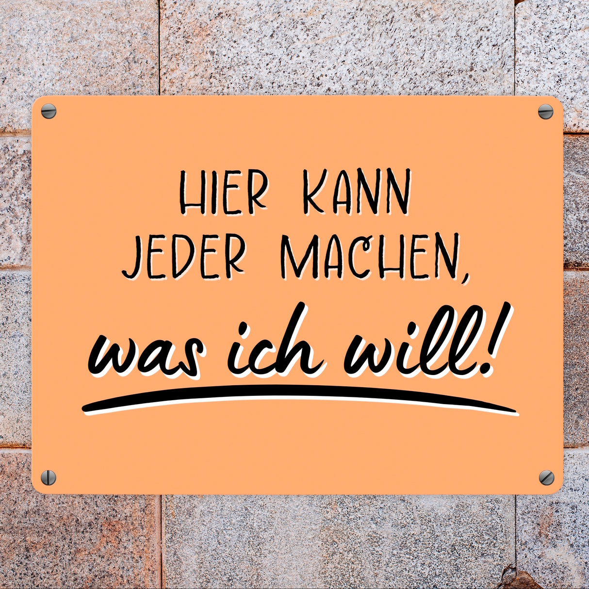 Meine Regeln Metallschild in 15x20 cm mit Spruch Hier kann jeder machen, was ich will