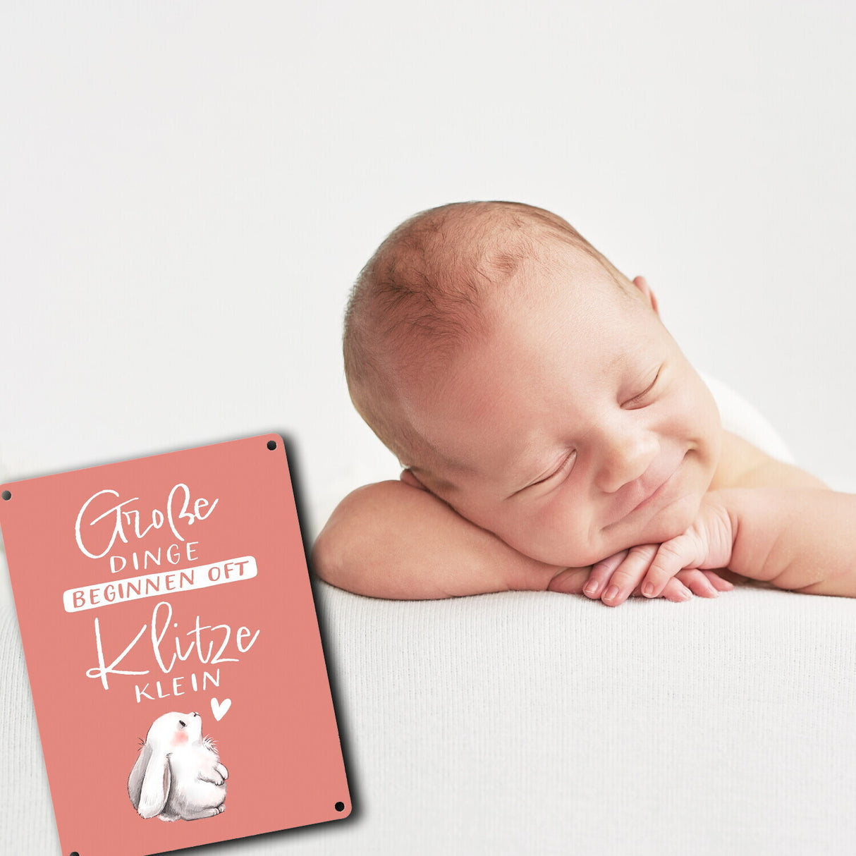 Baby Hase Metallschild in 15x20 cm mit Spruch Große Dinge beginnen oft Klitzeklein