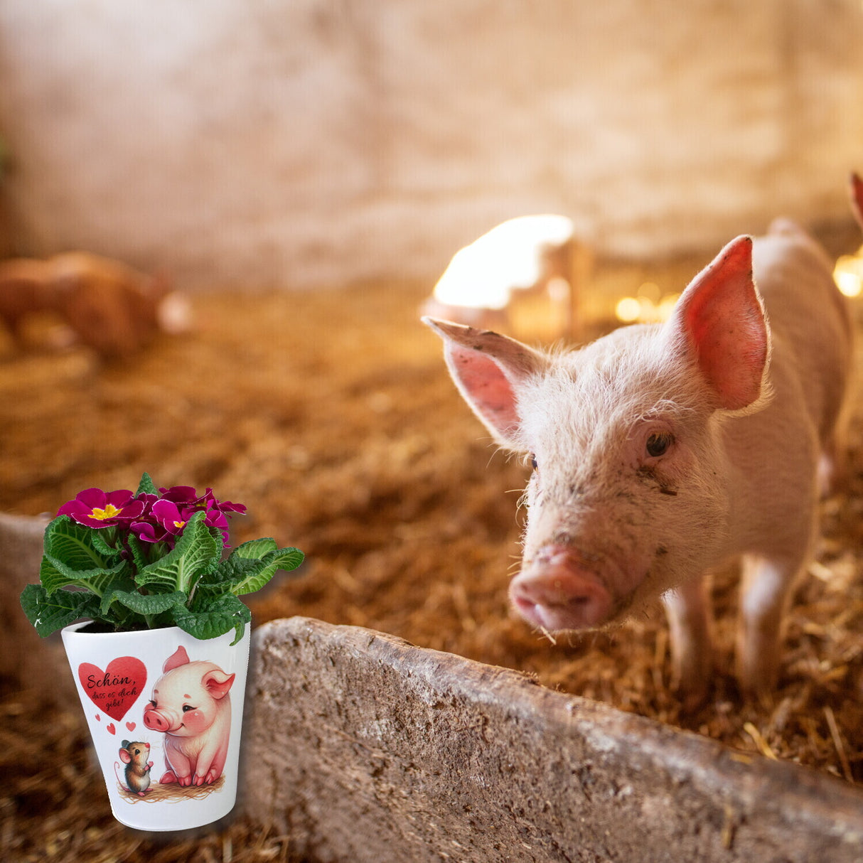 Schwein mit Maus und Herz Blumentopf mit Spruch Schön dass es dich gibt