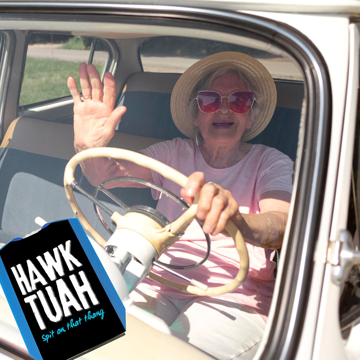 Hawk Tuah Parkscheibe mit Spruch Spit on that thang