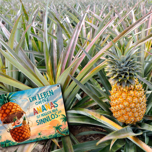 Ananas-Heißluftballon Metallschild in 15x20 cm mit Spruch Leben ohne Ananas sinnlos