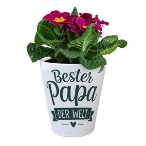 Bester Papa der Welt Blumentopf