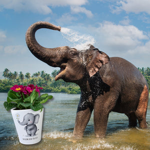 Grauer Elefant - Blümchen für dich Blumentopf