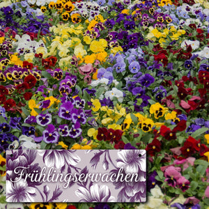 Florales Metallschild mit Blumenmotiv Frühlingserwachen