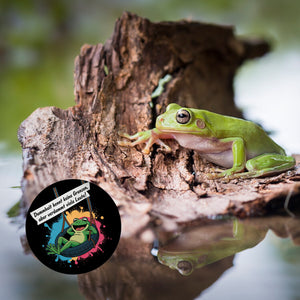 Grüner Frosch Magnet - Dummheit kennt viele Leute