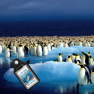 Lass uns abtauchen Pinguin Schlüsselanhänger Unterwasserszene