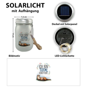 Niedlicher Otter Total verottert Solarlicht