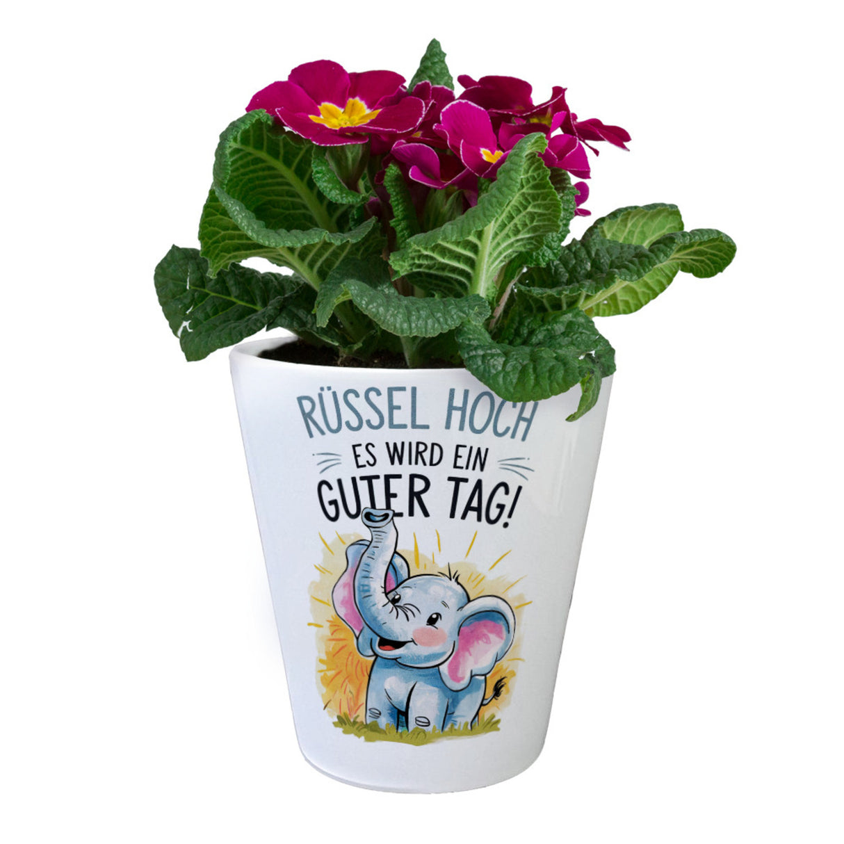 Fröhlicher Cartoon Elefant Rüssel hoch Blumentopf