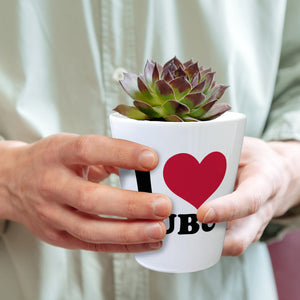 Ludwigsburg Blumentopf - I Love LUBU