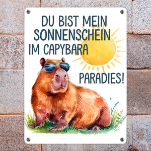 Capybara mit Sonnenbrille Metallschild in 15x20 cm Mein Sonnenschein