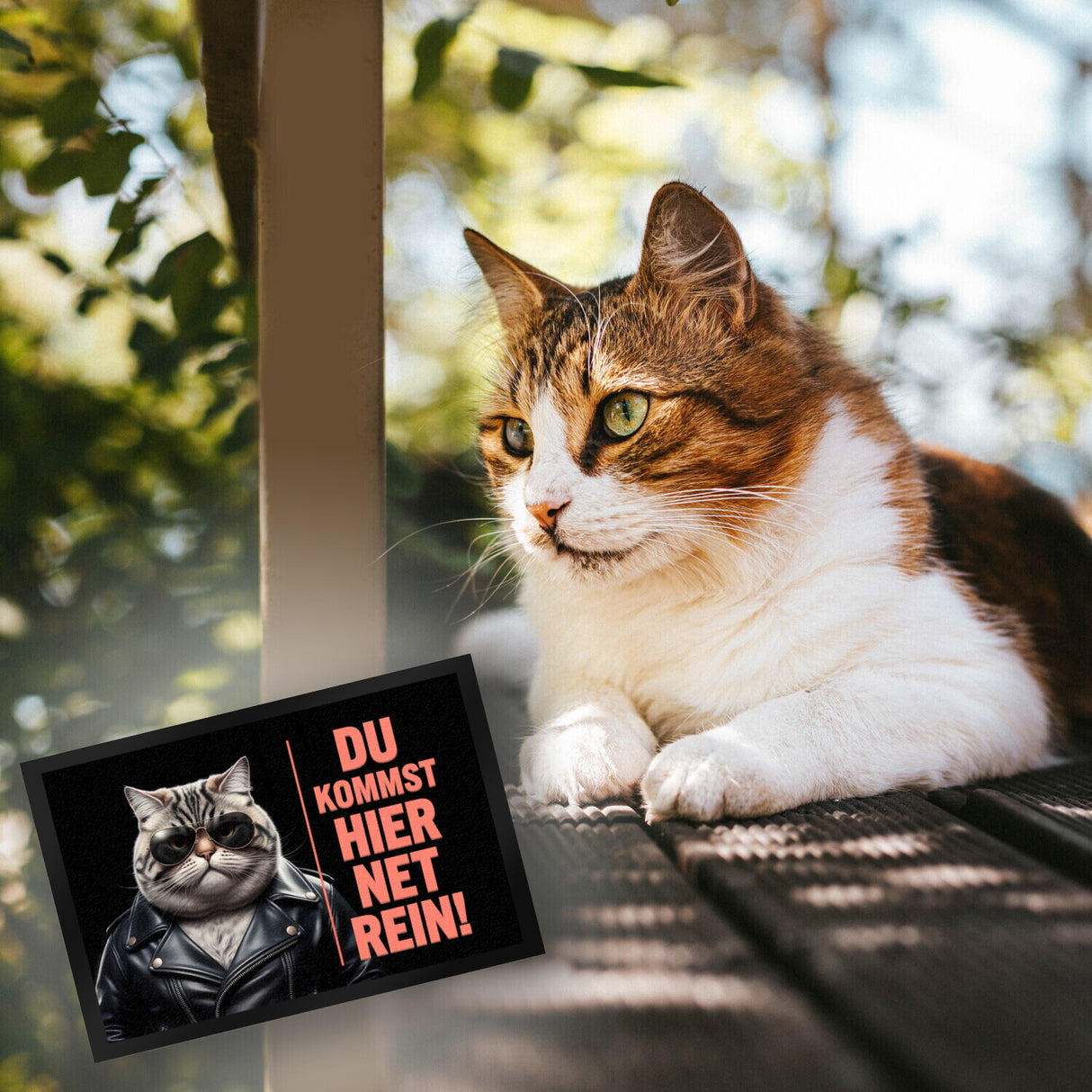 Türsteher Kater Fußmatte in 35x50 cm - Du Kommst Hier Net Rein
