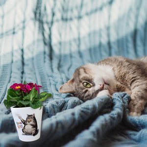 Pummelige Katze Blumentopf - Komm Fetti